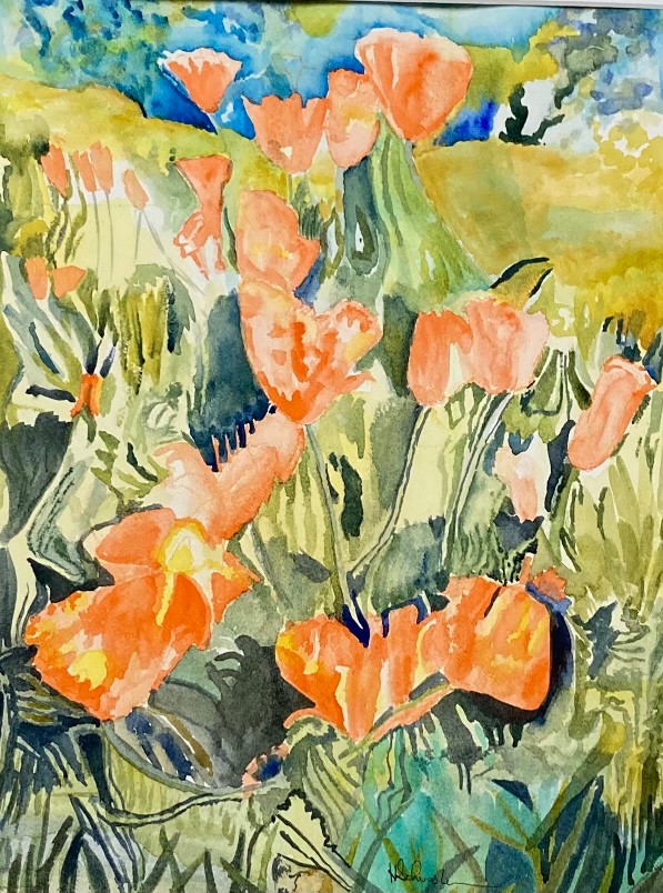 Poppy Fields